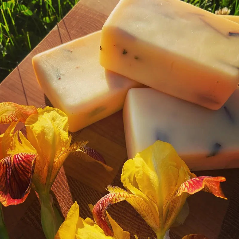 Barr Soap: Lemongrass